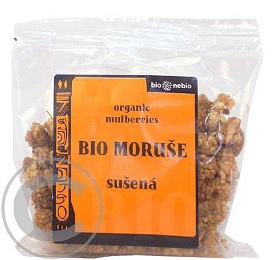 Sušená moruše bílá 100g-BIO